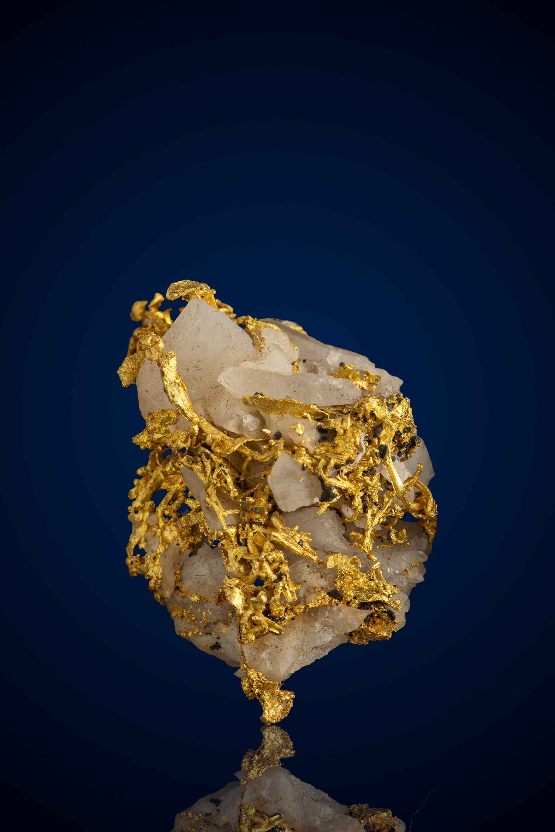 Gorgeous, Ornate Natural Gold and Quartz Specimen - Belshazzar Mine, ID - 9.80 grams (image for) Gorgeous, Ornate Natural Gold and Quartz Specimen - Belshazzar Mine, ID - 9.80 grams